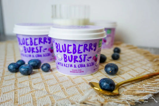 PetCubes - Blueberry Burst Ice Cream 3.5oz