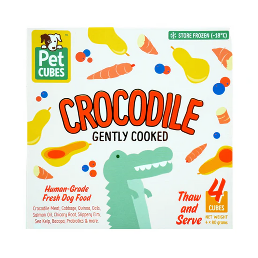 PetCubes - Crocodile