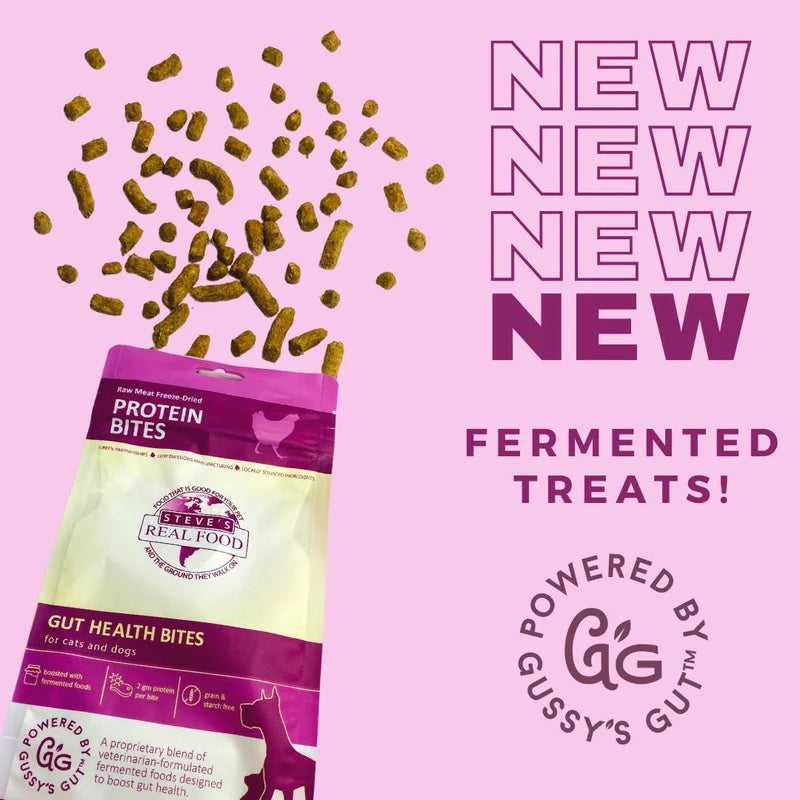 Steve's Real Food Freeze Dried Fermented Gut Health Treats - Chicken Protein Bites