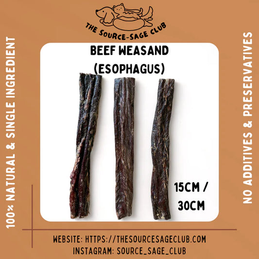 The Source-sage Club Air Dried New Zealand Beef Weasand (Esophagus) 15cm