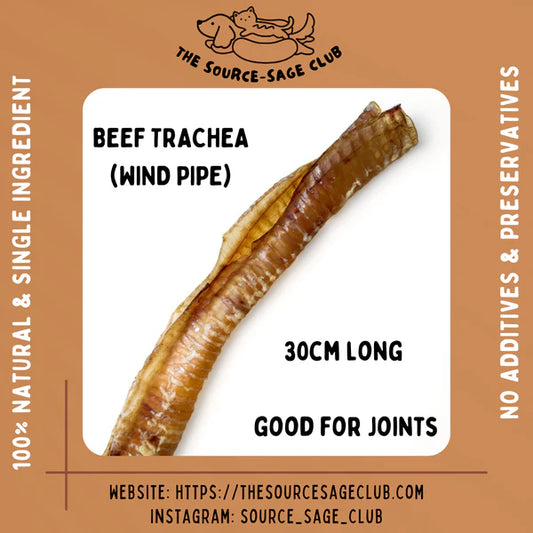 The Source-sage Club Air Dried New Zealand Beef Trachea (Windpipe) 1pc ~30cm