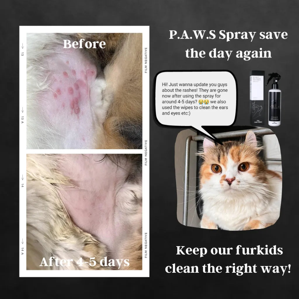 For Furry Friends - Pet's Activated Water Sanitizer (P.A.W.S) 250ml