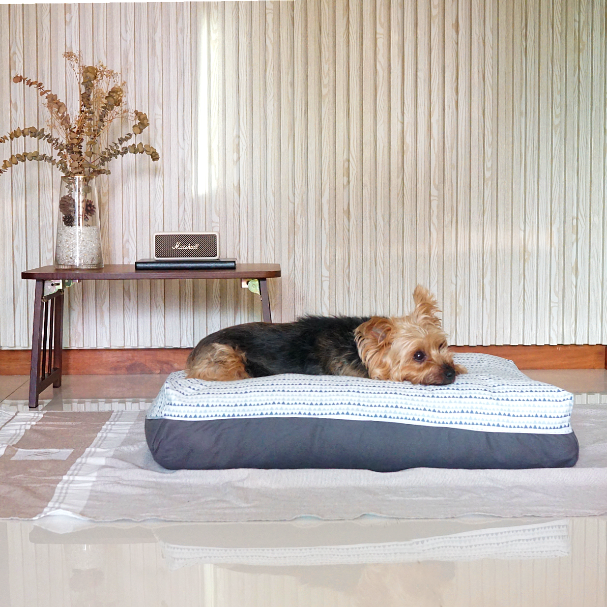 Hope Dreamcastle dog bed new arrivals