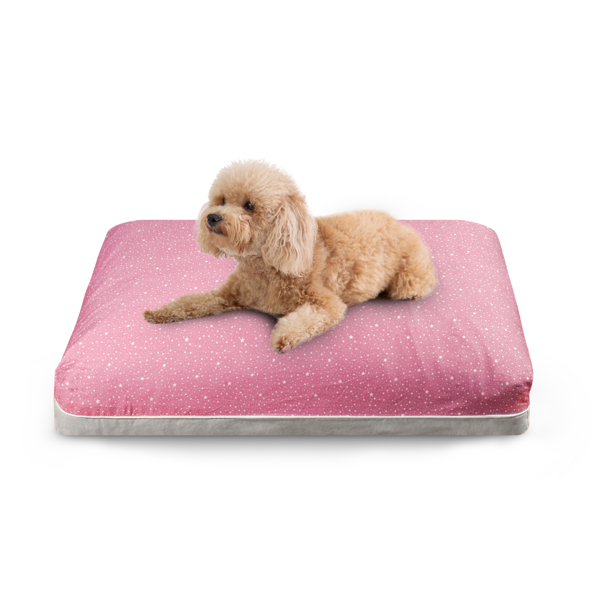 Little Star Dreamcastle singapore dog bed