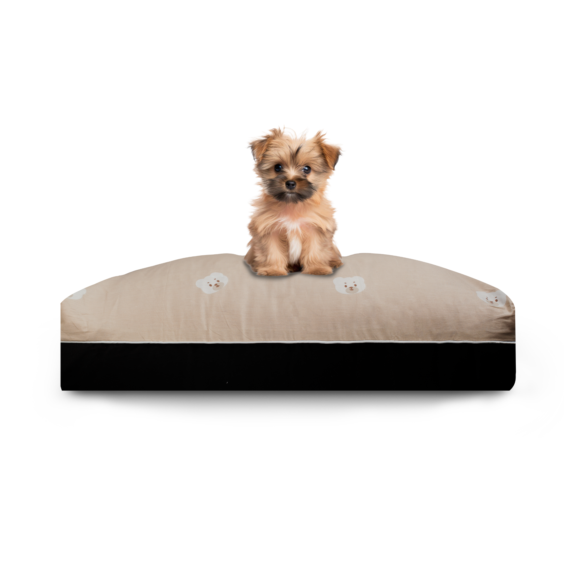 Moonlight Best Dog Bed Singapore