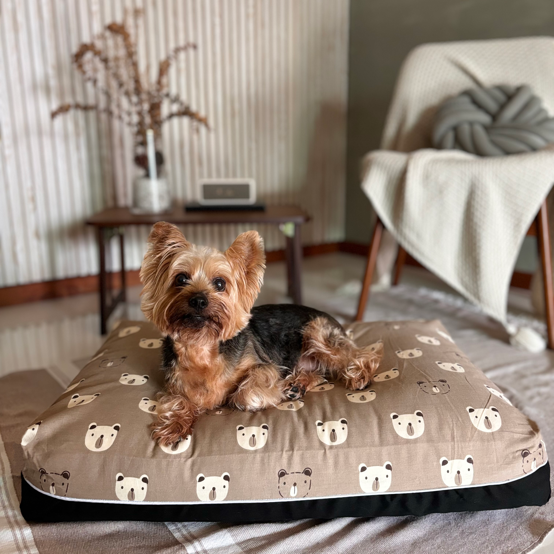 Nightingale Dreamcastle Cooling Dog Bed Lifestyle Image