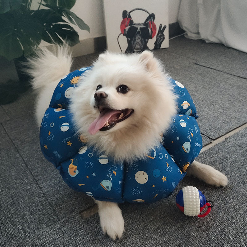 Pet Soft Cone Water-Resistant Fabric (Lion)