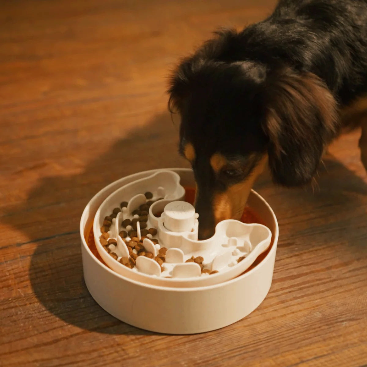 Puzzle Feeder™ Lite / Dog Bowl for Eating Habit Training for S/M Breeds (Orange)