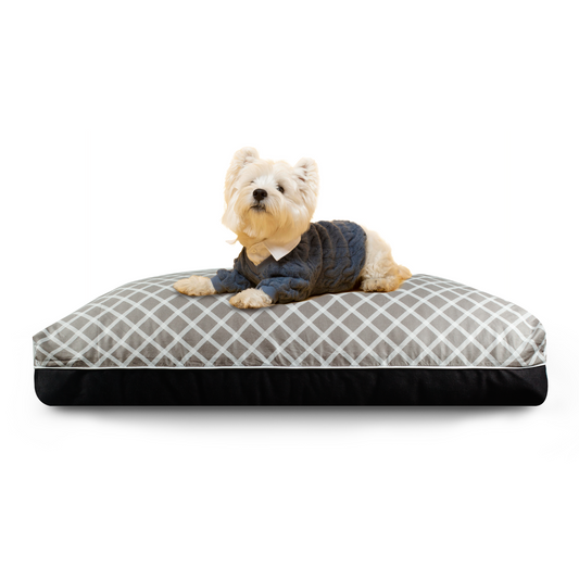 Rain Dreamcastle Best Dog Bed Singapore