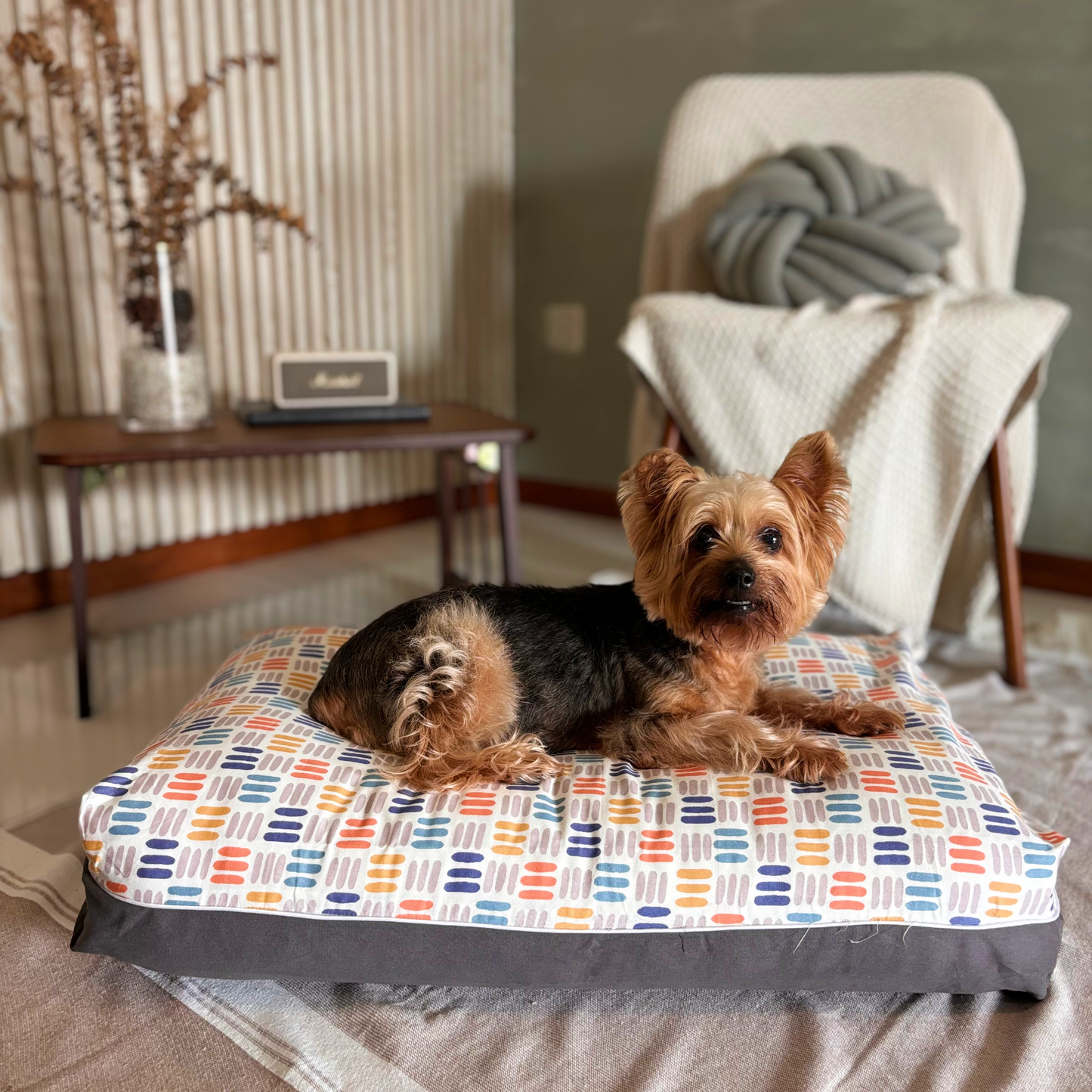 Rainbow Dreamcastle lifestyle cooling dog bed