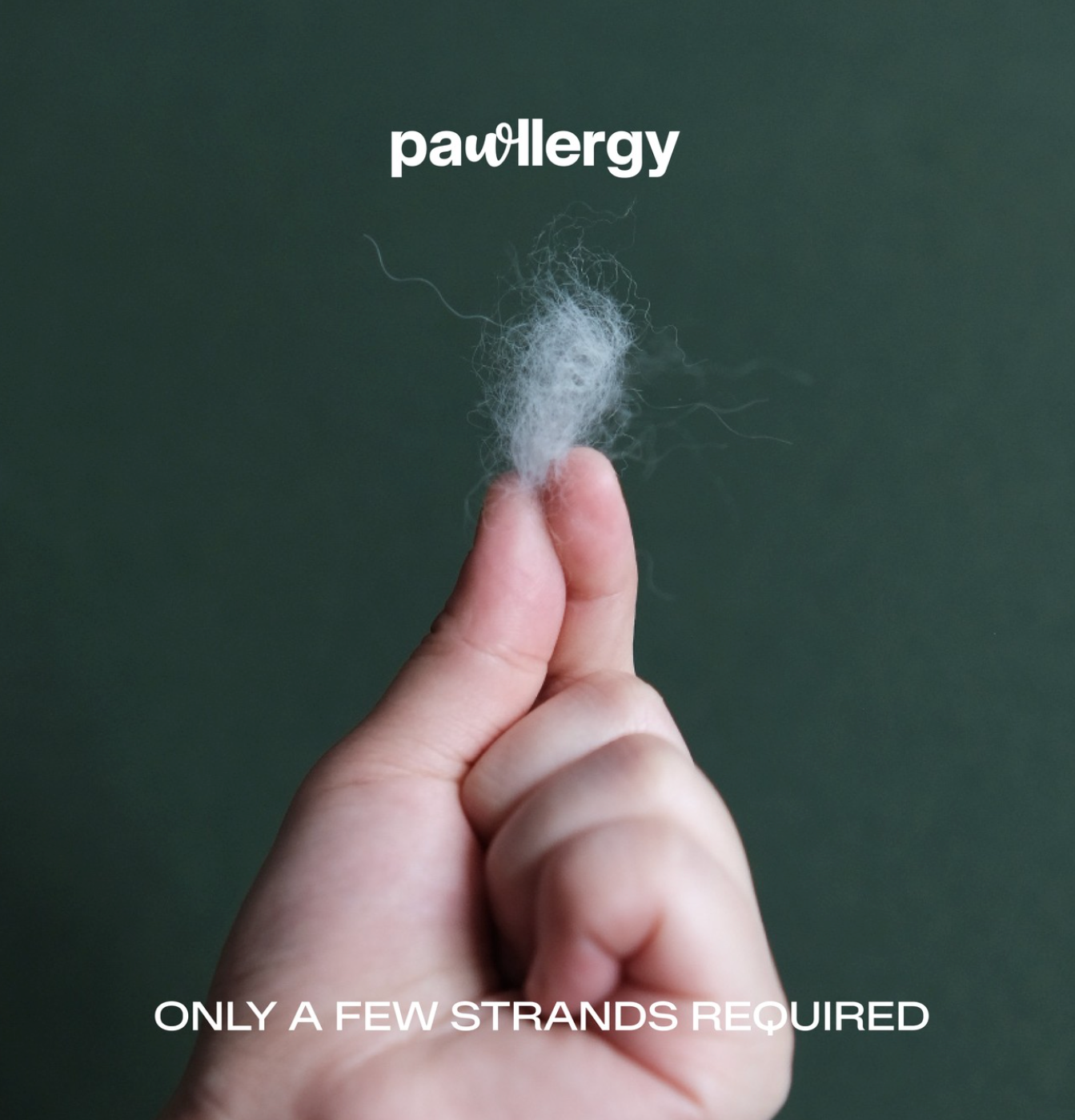 Pawllergy - Test Kit