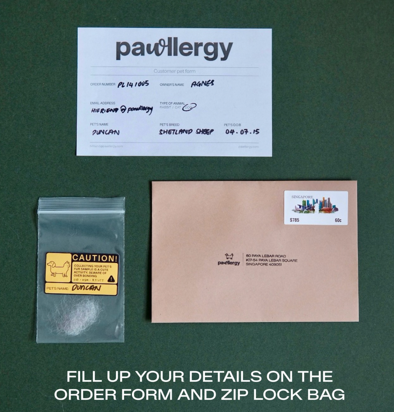 Pawllergy - Test Kit