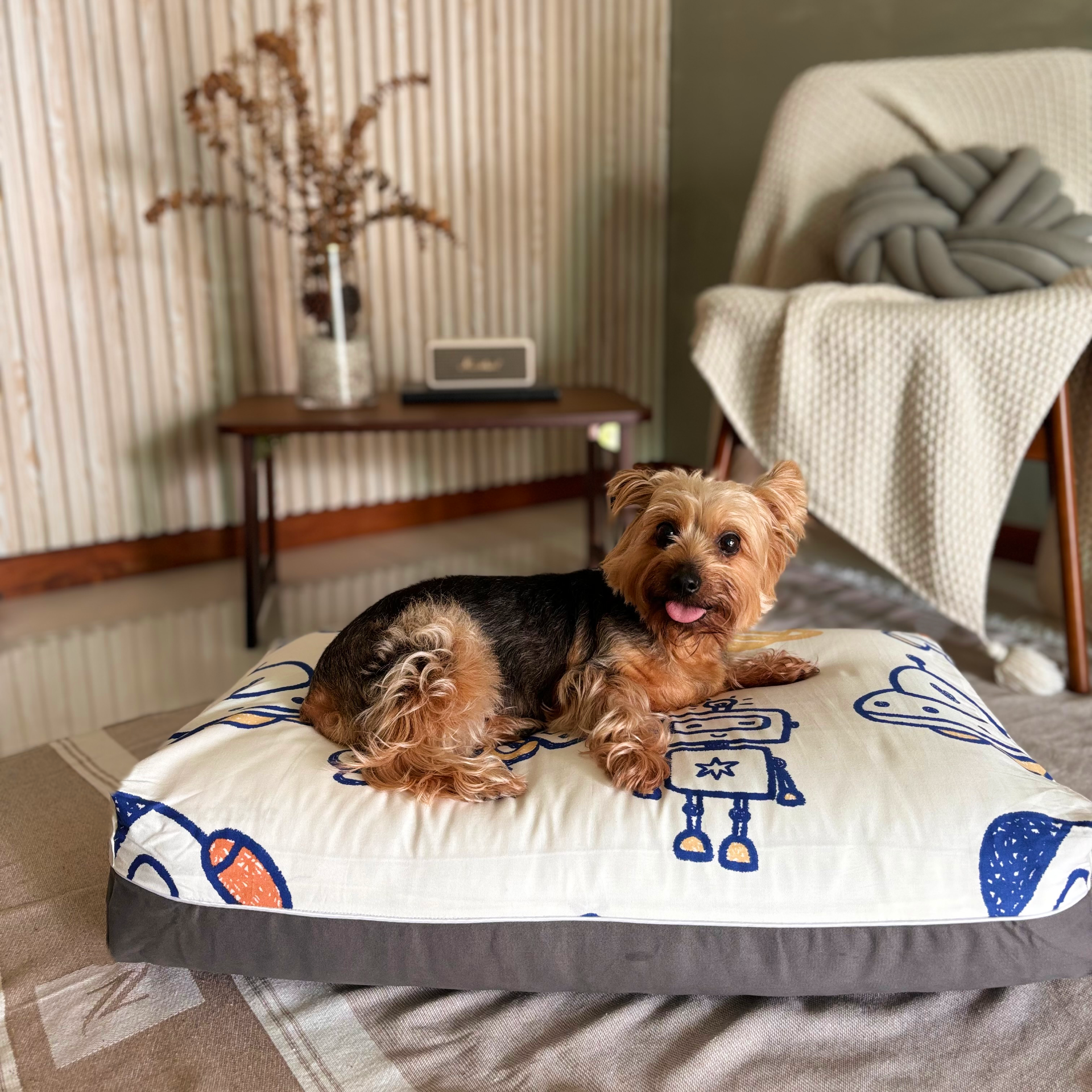 dreamcastle cooling dog bed in space design