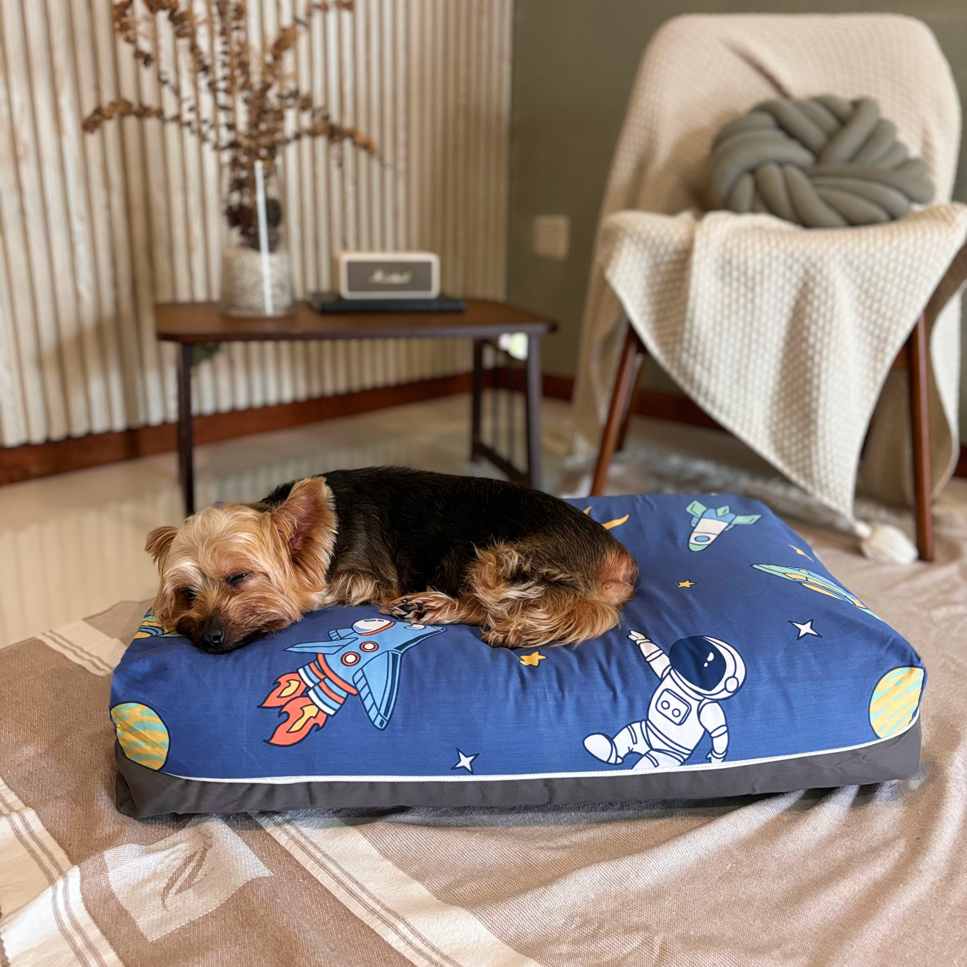 Space Shuttle Dreamcastle cooling dog bed lifestyle