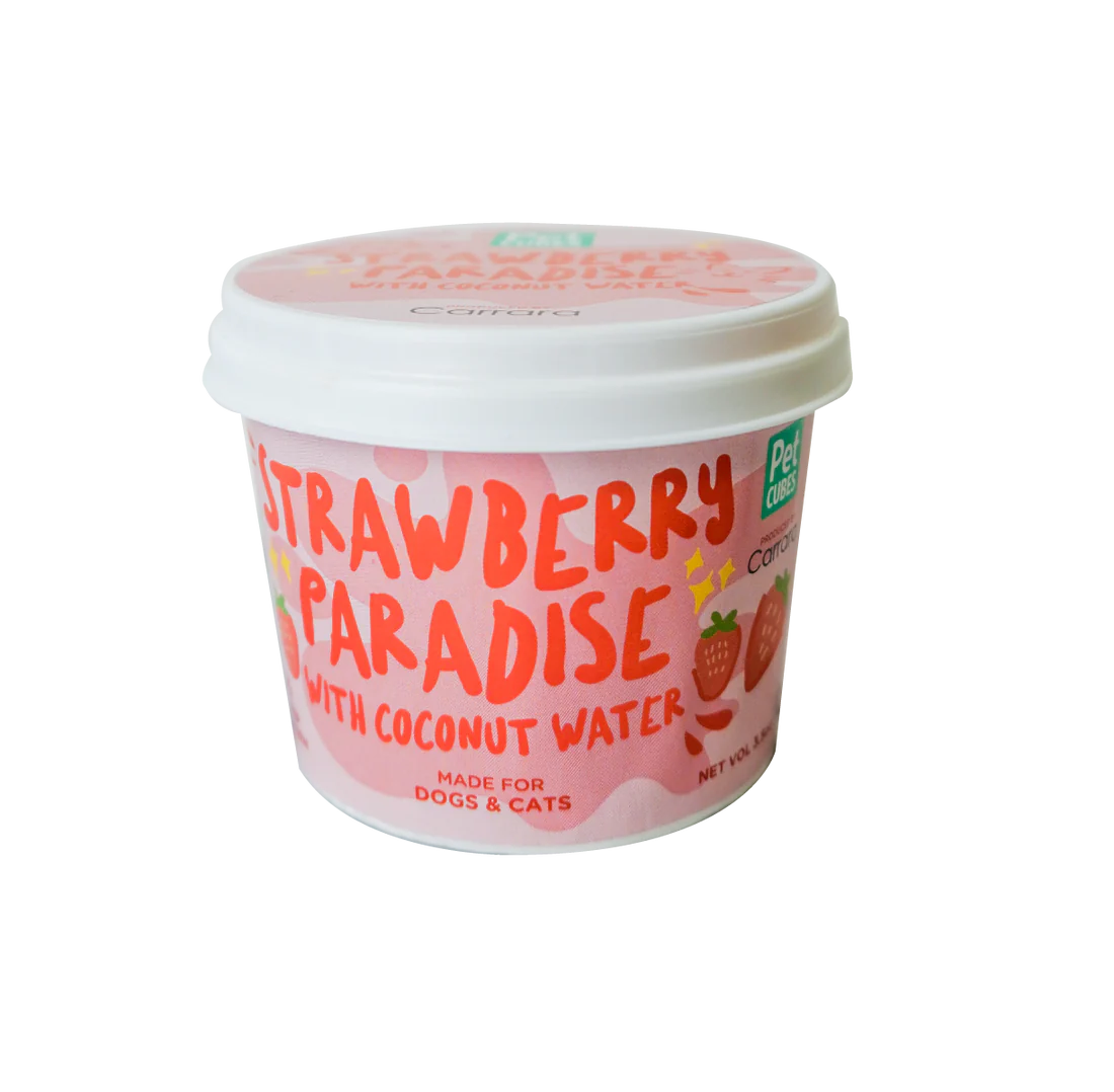 PetCubes - Strawberry Paradise Ice Cream 3.5oz