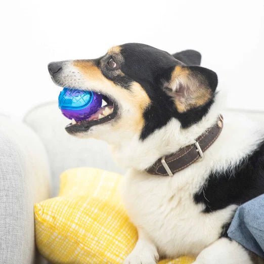 GiGwi - Squeaky Ball Dog Toy