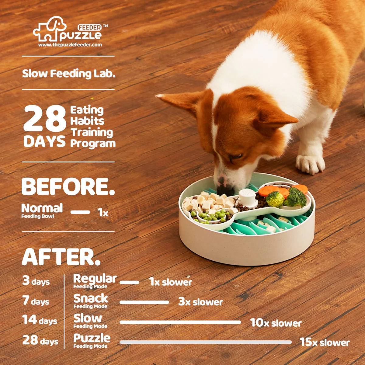 Puzzle Feeder™ Dog Bowl for Eating Habit Training (Lawn-Green)