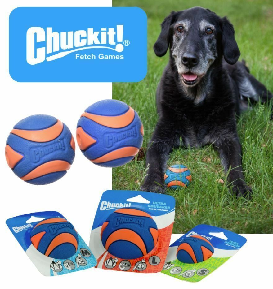 Petmate - Chuckit! Ultra Squeaker Ball Dog Toy (Large)